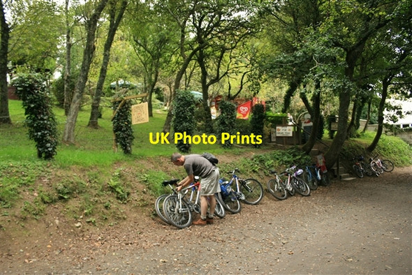 Photo 6"x4" Camel Trail Tea Gardens Nanstallon c2007