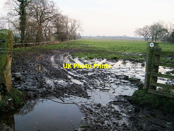 Photo 6"x4" Sloppy footpath from Scaleby to Hadrian's Wall Barclose c2008