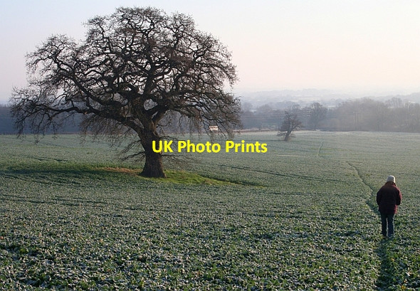 Photo 6"x4" Path Through North Field, Little Malvern Upper Welland c2008