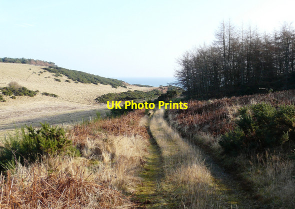 Photo 6"x4" Track from the hill-forts to the shore Shandwick c2008