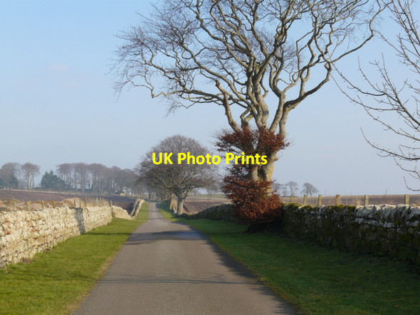 Photo 6"x4" The approach to Glenmorangie House Hilton of Cadboll c2008