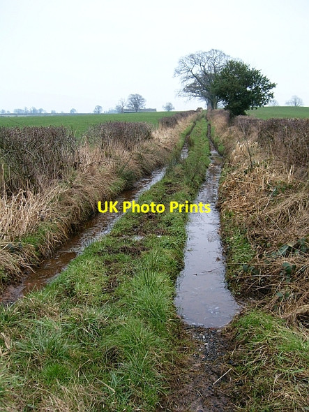 Photo 6"x4" Waterlogged bridleway to Laversdale Laversdale c2008