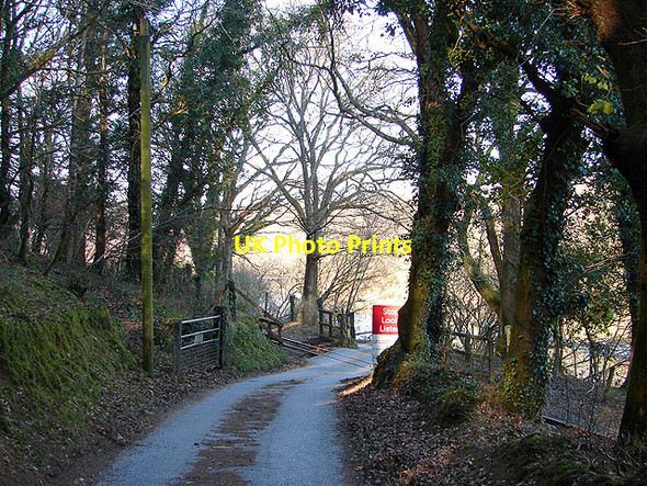 Photo 6"x4" The Vale of Rheidol Railway Capel Bangor c2008