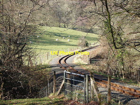 Photo 6"x4" The Vale of Rheidol Railway Nantyronen Station c2008