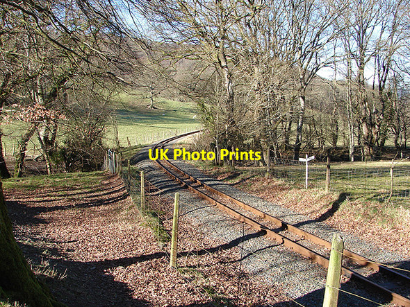 Photo 6"x4" Vale of Rheidol Railway Nantyronen Station c2008