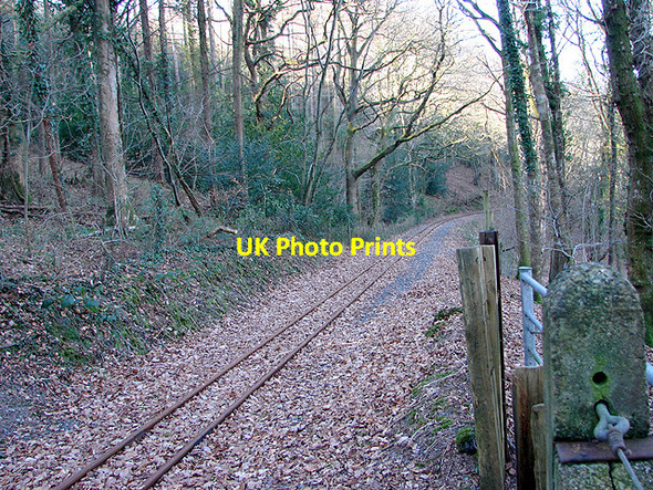 Photo 6"x4" The Vale of Rheidol Railway Nantyronen Station c2008