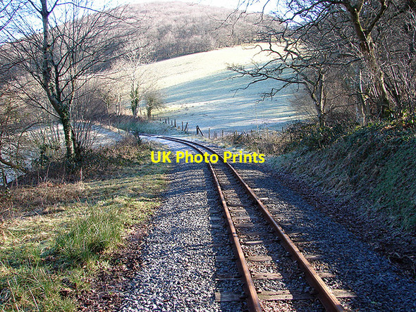 Photo 6"x4" The Vale of Rheidol Railway Nantyronen Station c2008