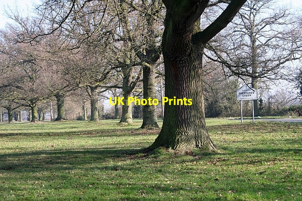 Photo 6"x4" Sherrards Green Great Malvern c2008