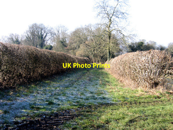 Photo 6"x4" Bridleway between Cowick Farm, Hilmarton, and Whitley Farm, Calne, Wilts. Calne c2008