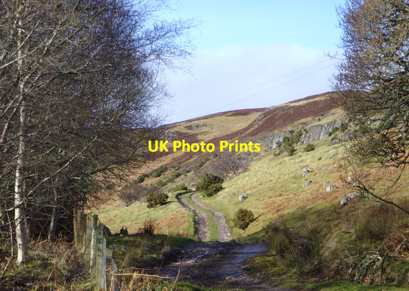 Photo 6"x4" Old track near Aberscross Little Torboll c2008