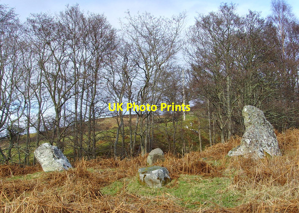 Photo 6"x4" Stone circle near the A 839 Little Torboll c2008
