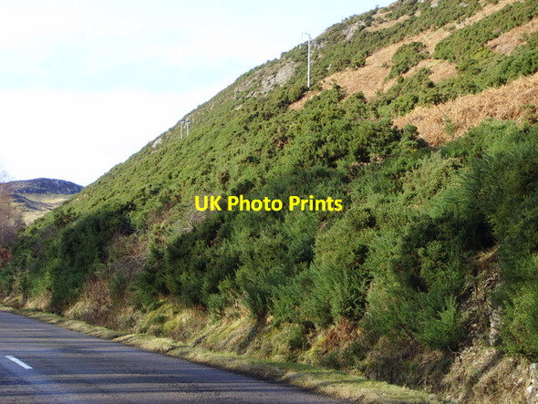 Photo 6"x4" By the A 839 Little Torboll c2008