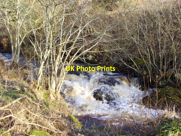 Photo 6"x4" Burn in Rogart Kinnauld c2008