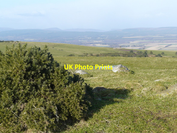 Photo 6"x4" Top of Nigg Hill towards Invergordon Shandwick c2008