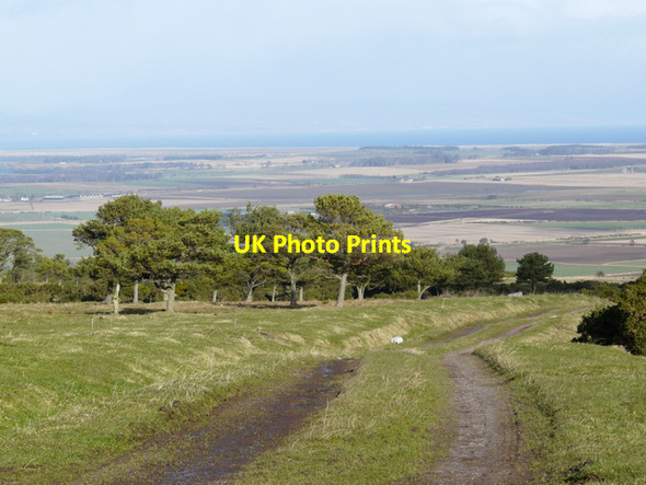 Photo 6"x4" Farm track , Nigg Hill Shandwick c2008