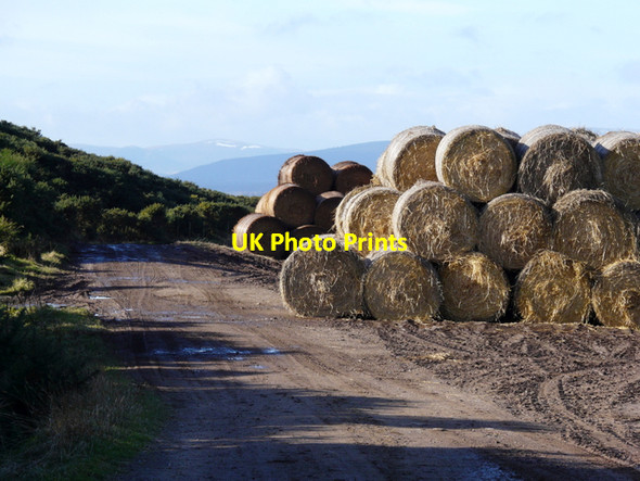 Photo 6"x4" Bales at  Wester Rarichie: snow on the distant hills. Shandwick c2008
