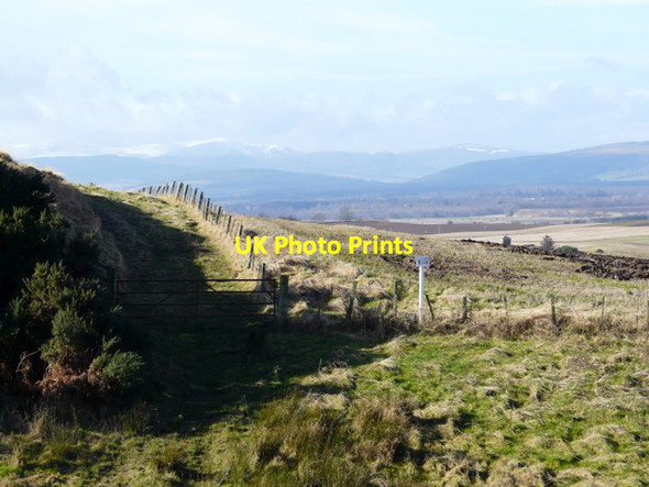 Photo 6"x4" Track near Wester  Rarichie,and snow on Ben Wyvis Shandwick c2008