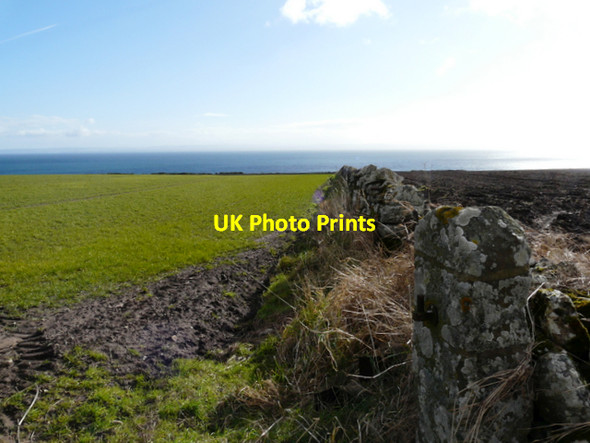 Photo 6"x4" Farmland behind Glenmorangie House Hilton of Cadboll c2008
