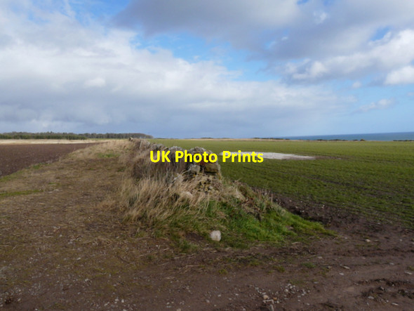 Photo 6"x4" Farmland near Cadboll Mount Toulvaddie c2008