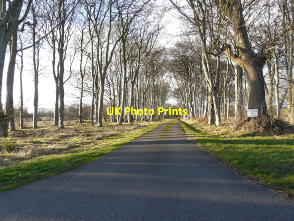 Photo 6"x4" Private road to Allan House Arabella c2008