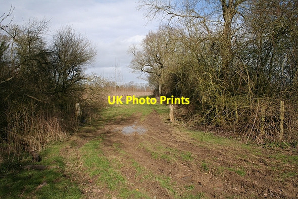 Photo 6"x4" Footpath to Berrow Berrow\/SO7934 c2008