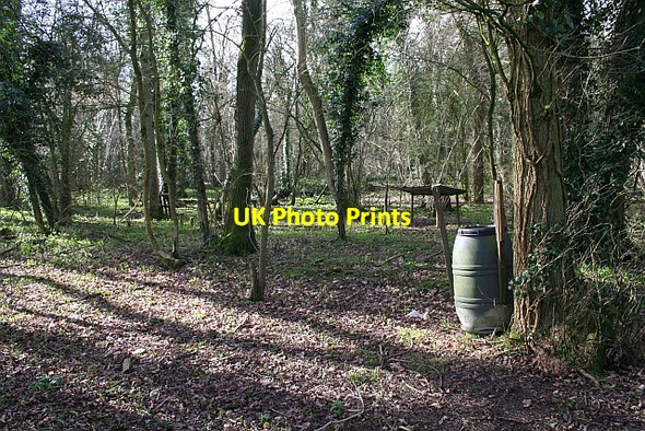 Photo 6"x4" Berrow Wood Berrow\/SO7934 c2008