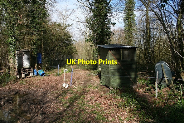 Photo 6"x4" Pheasant Rearing Pens Berrow\/SO7934 c2008