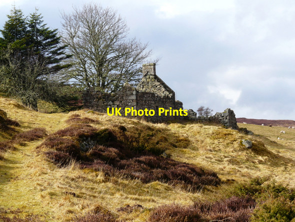 Photo 6"x4" Abandoned croft, Little Rogart Little Rogart c2008