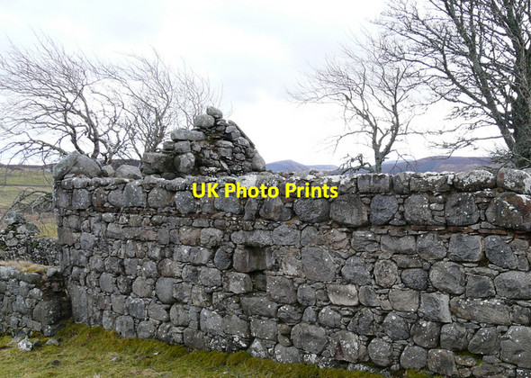 Photo 6"x4" Abandoned croft, Little Rogart Little Rogart c2008 P1