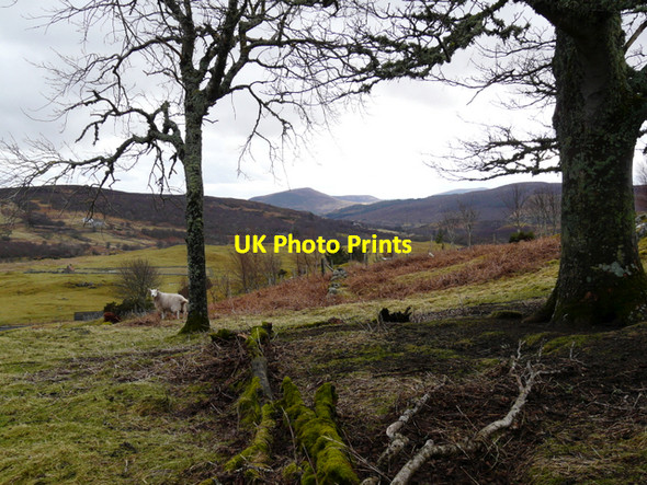 Photo 6"x4" Near Little Rogart Little Rogart c2008