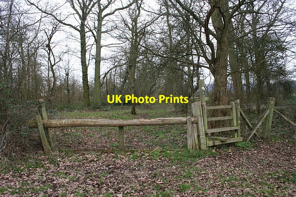 Photo 6"x4" Stile into Big Covert Duckswich c2008