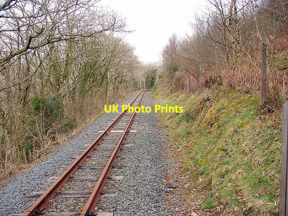 Photo 6"x4" Vale of Rheidol Railway Aberffrwd\/SN6878 c2008 P1