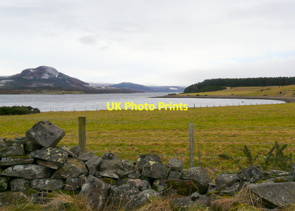 Photo 6"x4" Newton Point, looking towards Struie Hill Ospisdale c2008