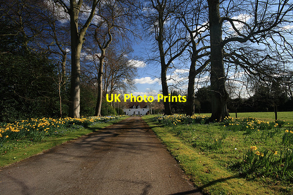 Photo 6"x4" Springtime at Houghton Lodge North Houghton c2008