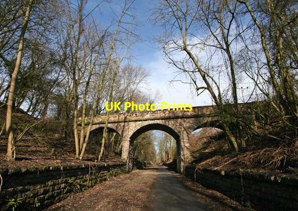Photo 6"x4" Thorpe Arch Railway Cutting Thorp Arch c2008