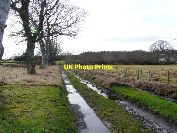 Photo 6"x4" Track from Morangie Cottages Tain\/NH7881 c2008
