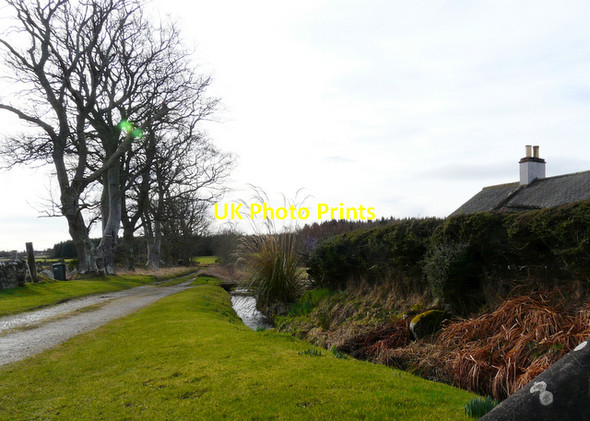 Photo 6"x4" Track at Glenmorangie Cottages Tain\/NH7881 c2008