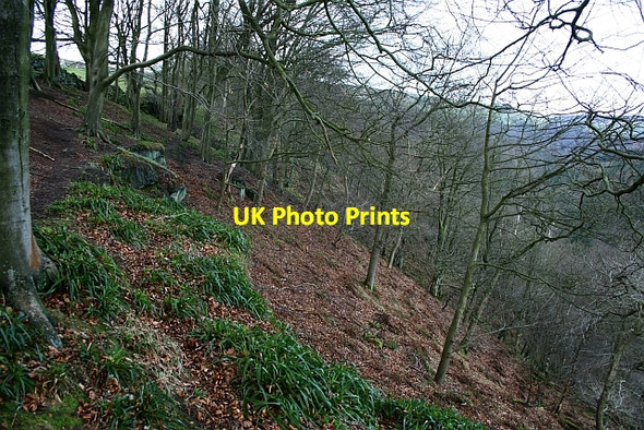 Photo 6"x4" Hebden Wood Hebden Bridge c2008