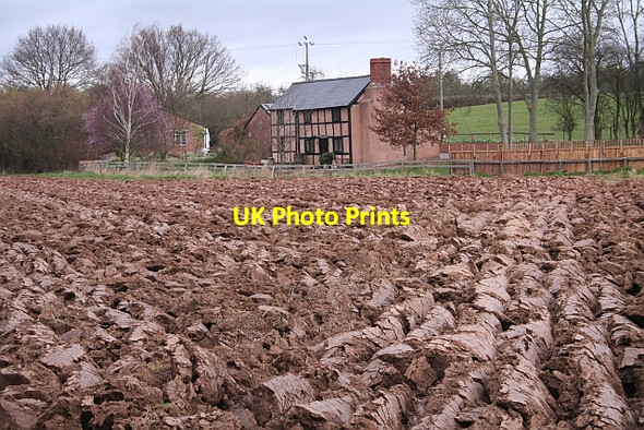 Photo 6"x4" Cottages and Ploughed Field Rushall\/SO6434 c2008