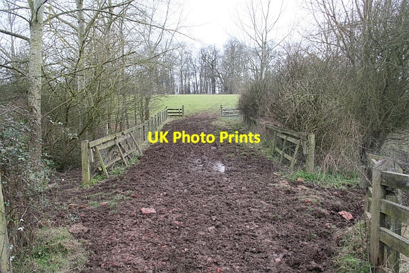 Photo 6"x4" Track to Long Covert Duckswich c2008