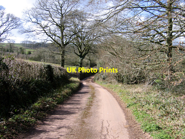 Photo 6"x4" Lane to Tedbridge, Bradninch, Devon Livingshayes c2008