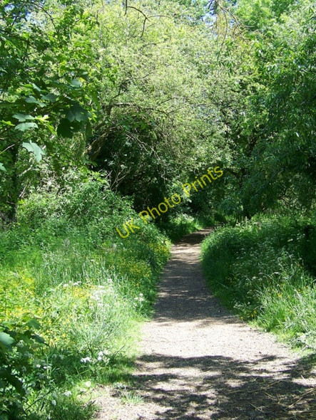 Photo 6"x4" Footpath near Avington Couch Green c2009
