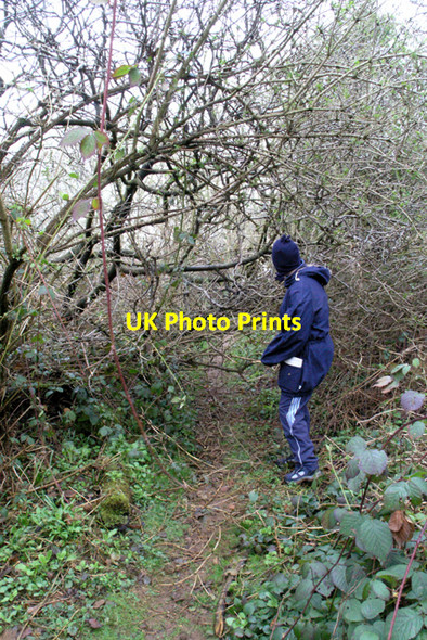 Photo 6"x4" The path is blocked Ab Kettleby c2008