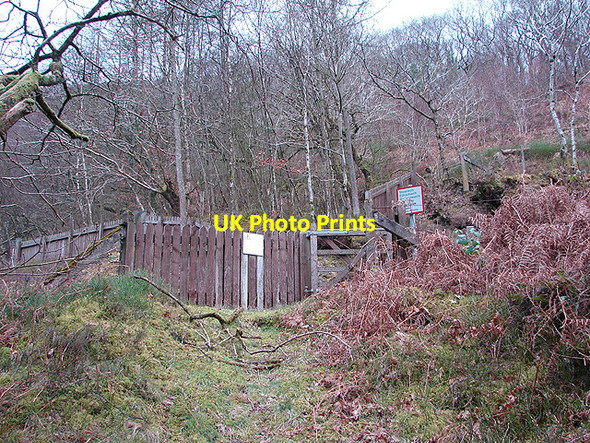 Photo 6"x4" Approach to the Vale of Rheidol Railway Mynydd Bach\/SN7176 c2008