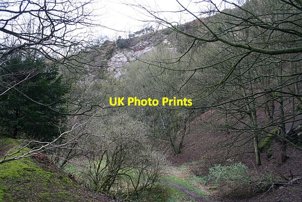 Photo 6"x4" Upper Quarry, Wyche Upper Colwall c2008