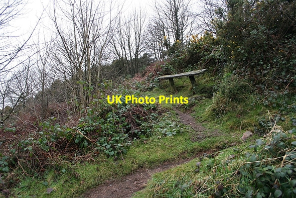 Photo 6"x4" Wonky Bench Great Malvern c2008