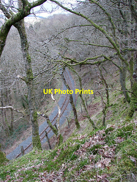 Photo 6"x4" Vale of Rheidol Railway at Derwen (7) Devil's Bridge\/Pontarfynach c2008
