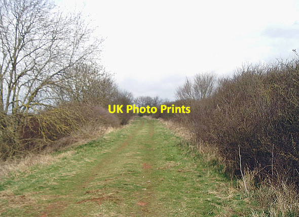 Photo 6"x4" Course of former railway south of Somersham Colnefields c2008