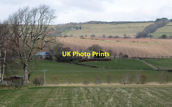 Photo 6"x4" Drumphin Farm St David's c2008