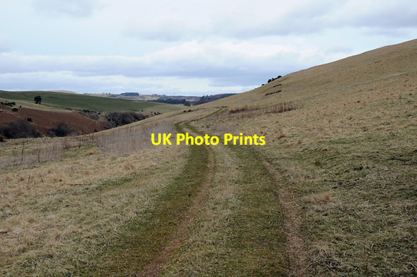 Photo 6"x4" Track to Clow Bridge Path of Condie c2008